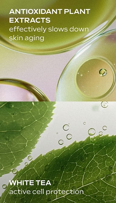 Antioxidant plant extracts effectively slowa down skin aging