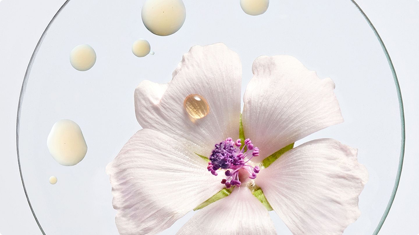 Beli Slez Losion za Atopičnu kožu