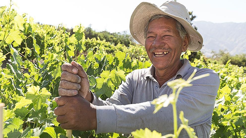 Farmer in field